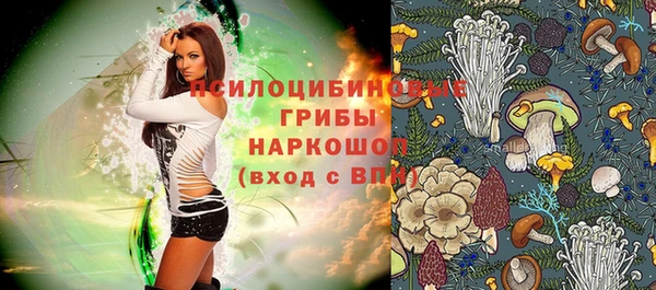 ALPHA-PVP Осинники