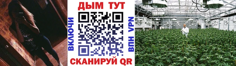 Конопля THC 21%  хочу   Полярный 